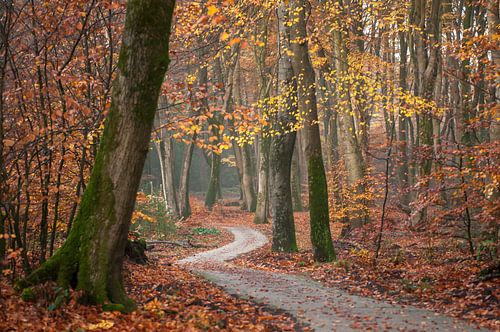 Speulderbos