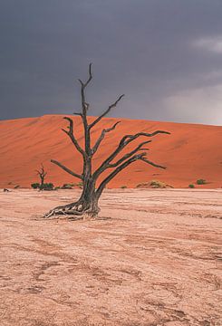 Deadvlei in Sossusvlei, Namibië Afrika van Patrick Groß