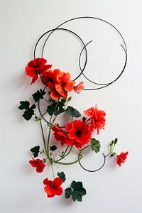 Geranium
