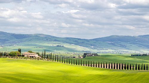 Tuscan landscape