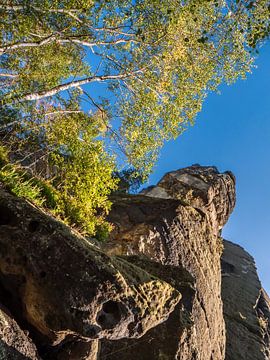 Königsweg, Saxon Switzerland - Bärenhorn by Pixelwerk