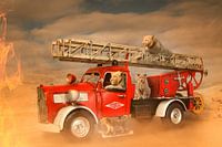 ladder truck full of lions