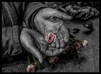 fleur dans les mains
