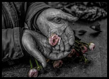 fleur dans les mains