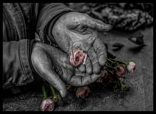 bloem in handen