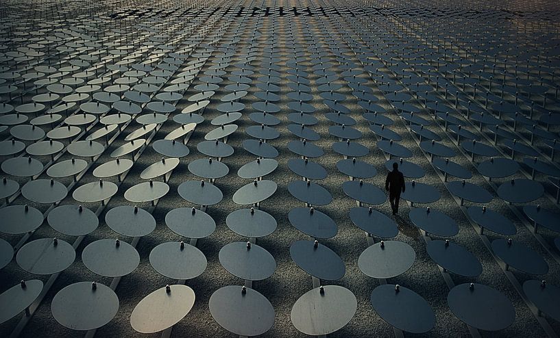 Circles by Roxana Labagnara