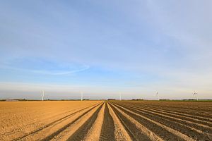 Vers geploegd aardappelveld met rechte aardappelruggen van Sjoerd van der Wal Fotografie