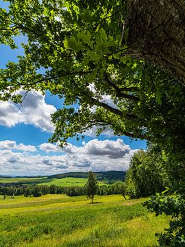 Uitzicht op het landschap vanaf de Königshain