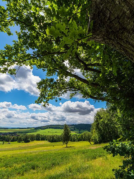 View of the landscape from the Königshainer mountains by Rico Ködder