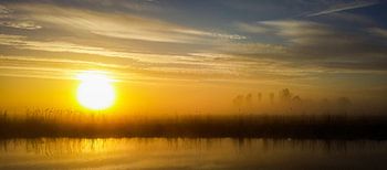 Sonnenaufgang und Nebel über dem Dokkumer Ee
