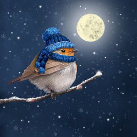 Robin with hat and scarf at full moon by Teuni's Dreams of Reality