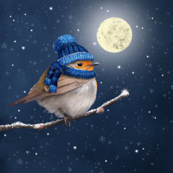 Roodborst met muts en sjaal bij volle maan van Teuni's Dreams of Reality