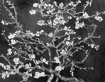 Mandelblüte von Vincent van Gogh (schwarz & weiß)