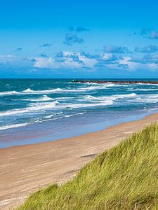 Duin en strand bij Hirtshals in Denemarken