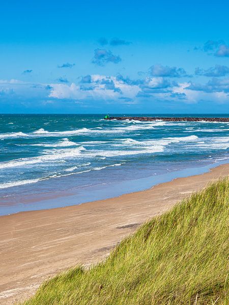 Dune and beach near Hirtshals in Denmark by Rico Ködder