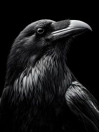 Rabe Porträt – Ausdrucksstarke Schwarzweiß Vogelstudie von drdigitaldesign