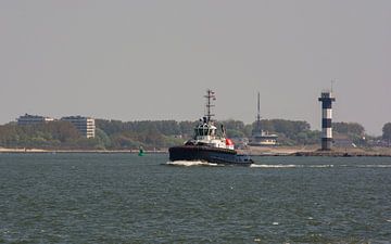 Sleepboot Rotterdam onderweg naar een containerschip. van scheepskijkerhavenfotografie