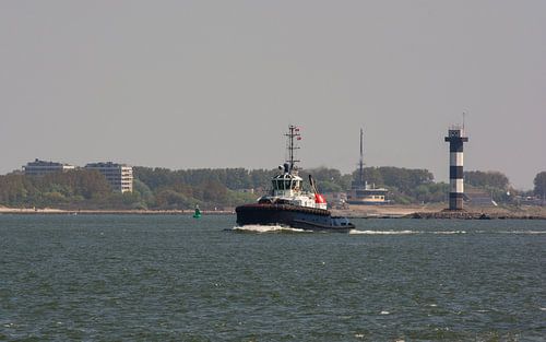 Sleepboot Rotterdam onderweg naar een containerschip.
