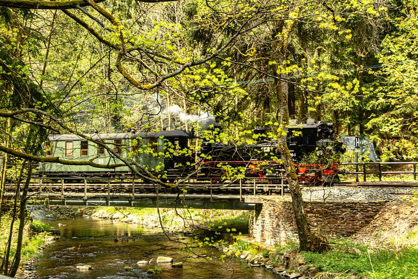 Museum railway Erzgebirge Preßnitztalbahn by Johnny Flash