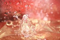 SPLASH 5
