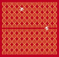 Anunnaki DNA Spacecraft red-brown