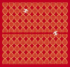 Anunnaki DNA Spacecraft red-brown