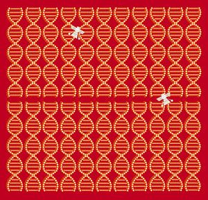 Anunnaki DNA Spacecraft rot-braun