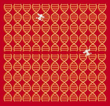 Anunnaki DNA Spacecraft rot-braun von Esther van de Beek