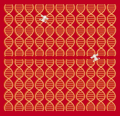 Anunnaki DNA Spacecraft rood-bruin