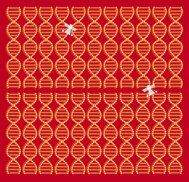 Anunnaki DNA Spacecraft red-brown by Esther van de Beek