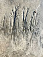 vom Meer geformte Sandskulptur