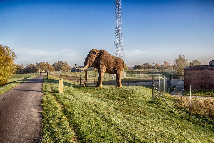 The Mammoth on the Kandia dike in Groessen by Karlo Bolder