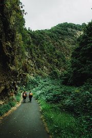 Hike through the valley - La Palma nature experience by NZME Photography