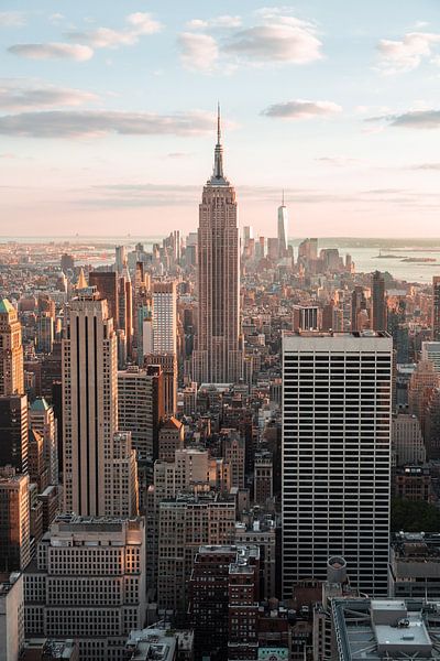 Gouden uur in Manhattan in New York, met uitzicht op Empire State van Thea.Photo