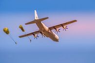 paradropping by Raymond Engelen thumbnail