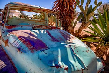 Parked against the palm by Rene Siebring