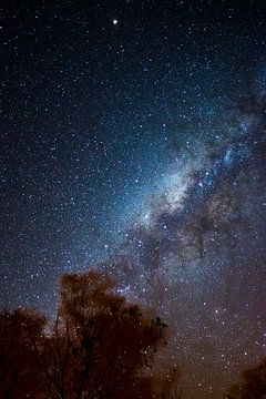 Melkweg | Heldere nacht in Botswana van Suzanne Spijkers