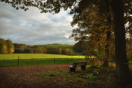 Bank mit Blick in die Eifel