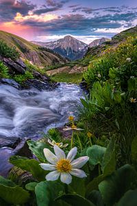 Beautiful San Juan Mountain Scenic Photo, Summer Wildflower Picture, Silverton Colorado Wall Art, Rocky Mountain Landscape Photography Print