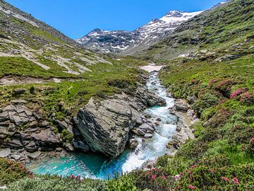 Bach aus Schmelzwasser gebildet von Maarten Salverda