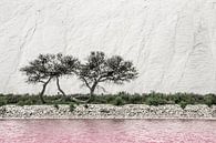Salt mountains in the camargue by Lilian Heijmans thumbnail