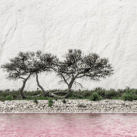 Salt mountains in the camargue by Lilian Heijmans