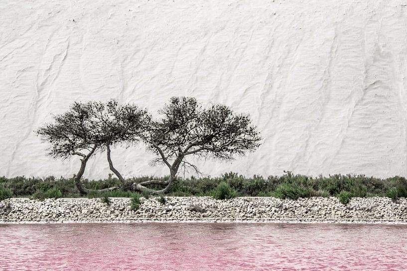 Salt mountains in the camargue by Lilian Heijmans