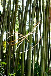 Tiges de bambou avec un arc