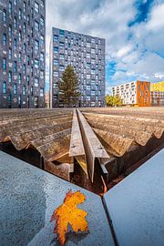 Chasséveld, Breda von Patrick Rosenthal