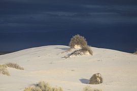 White Sands Dunes National Monument in New Mexico USA