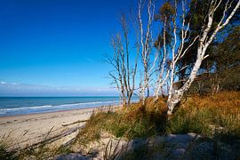 West beach on the Darß by Reiner Würz / RWFotoArt