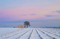 L'hiver est là