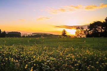 Zonsopgang met bloemen van Maurice Welling