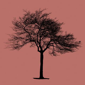 Silhouette van een loofboom in zwart op roze achtergrond van Leoniek van der Vliet